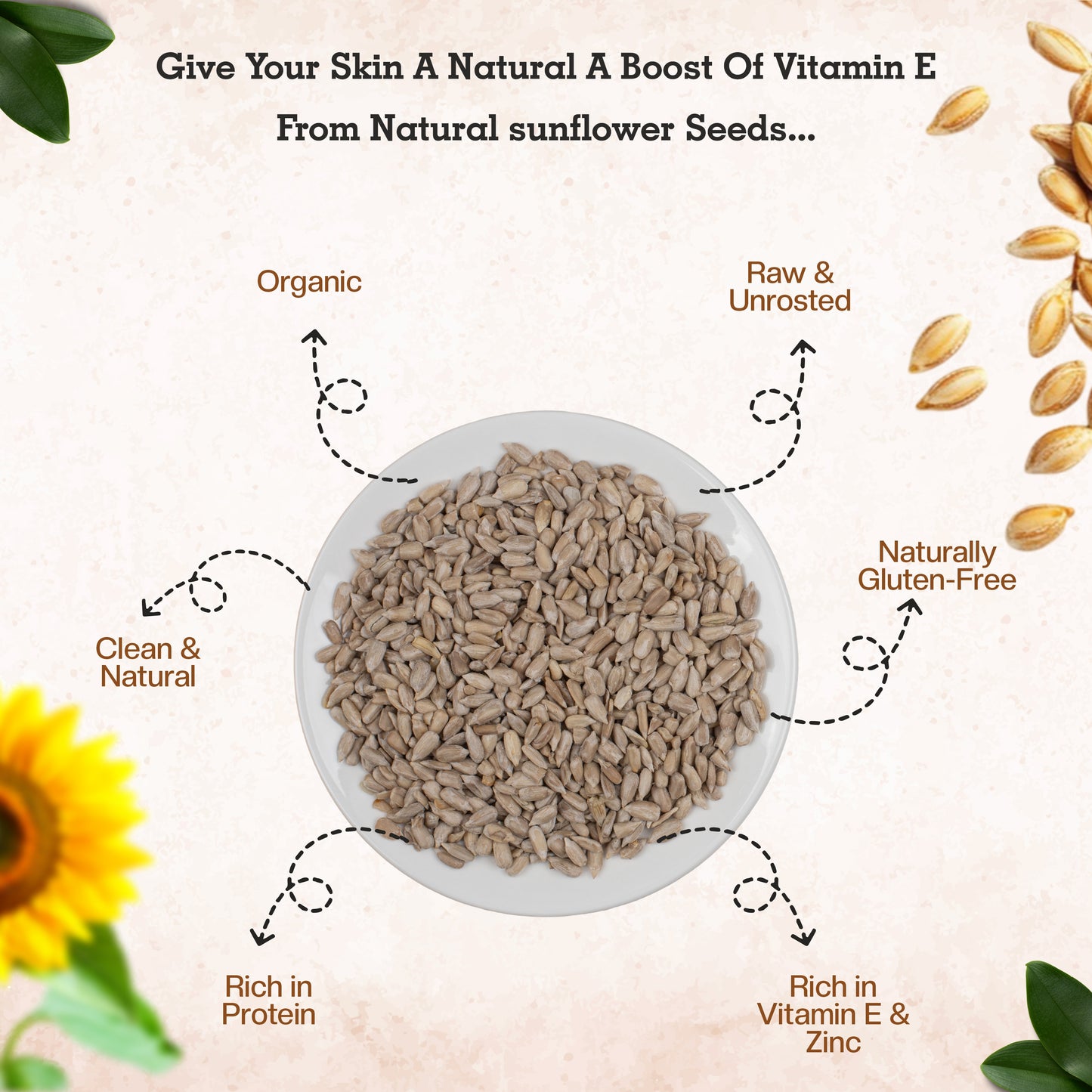 Healthy Meal sunflower seeds premium superfood 250 gm