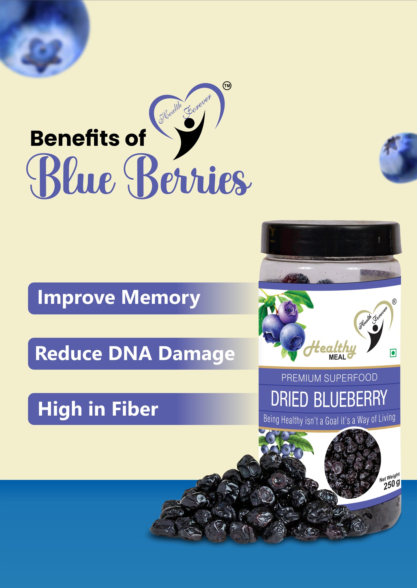 Healthy Meal dried blueberry 250 gm