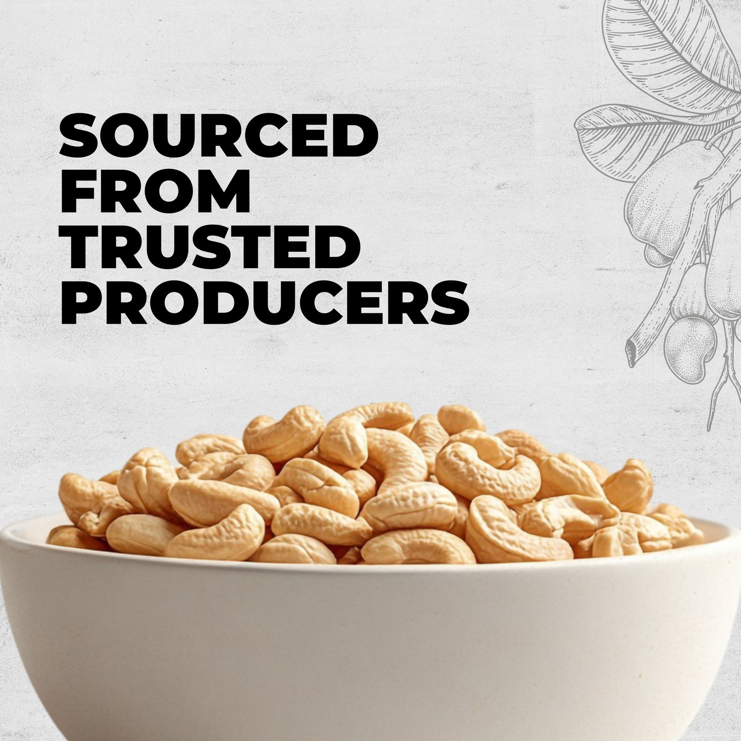 Healthy Meal roasted and salted cashew nuts premium superfood 250 gm